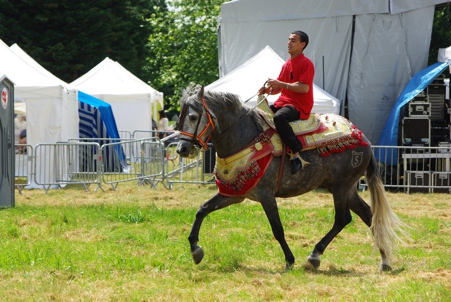 Le Moussem des Cultures 2008 017.jpg